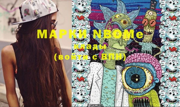 гашик Козельск