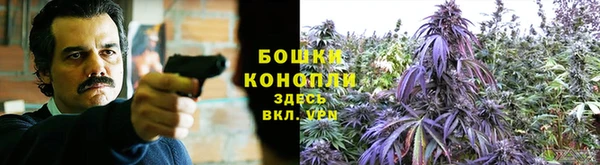 крисы Краснослободск