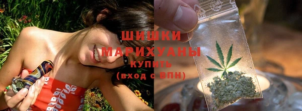 круглые Корсаков