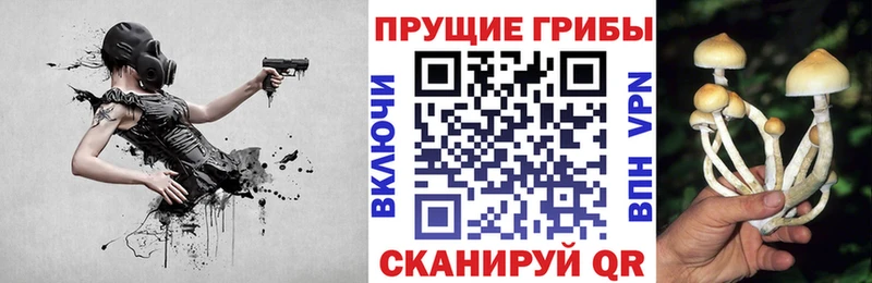 мега рабочий сайт  Кудрово  Псилоцибиновые грибы GOLDEN TEACHER  купить наркотик 
