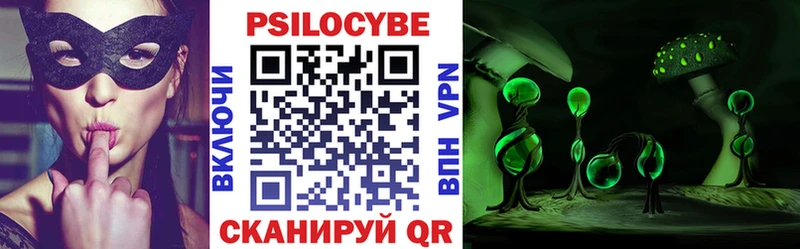 Псилоцибиновые грибы GOLDEN TEACHER Кудрово