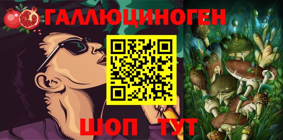 Галлюциногенные грибы Psilocybe Кудрово