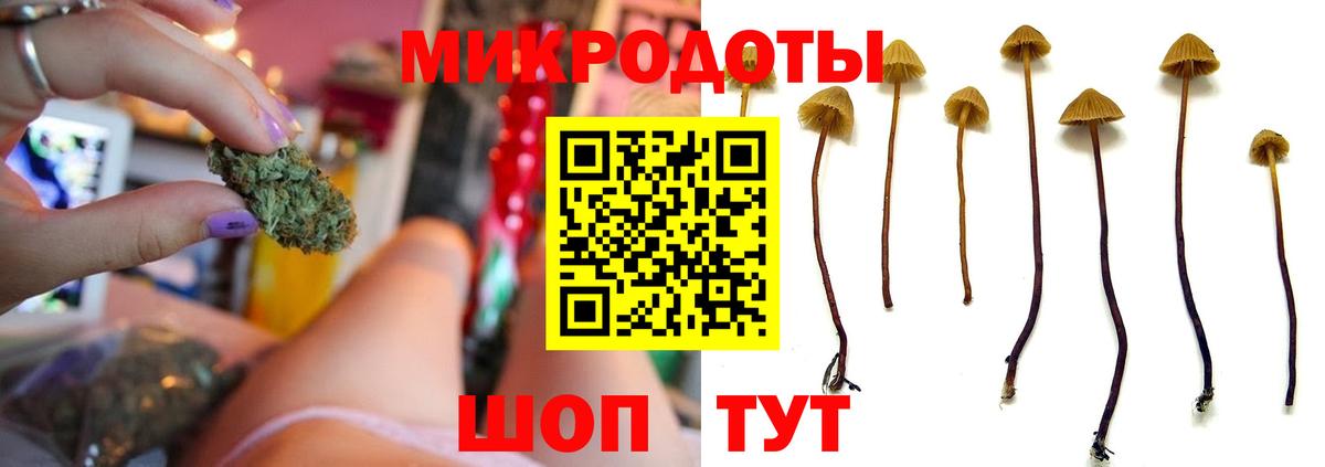 купить закладку  Псилоцибиновые грибы мицелий  Вход с VPN  Кудрово  Галлюциногенные грибы мицелий 